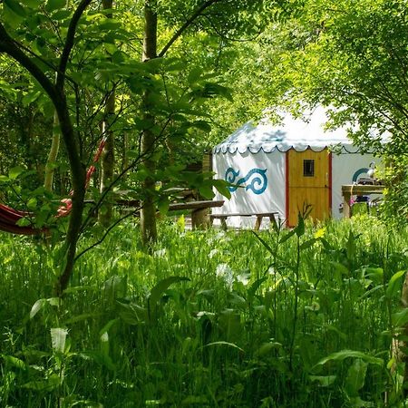 Plush Tents Yurt Village Chichester Extérieur photo