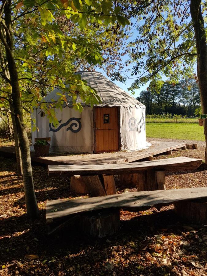 Plush Tents Yurt Village Chichester Extérieur photo