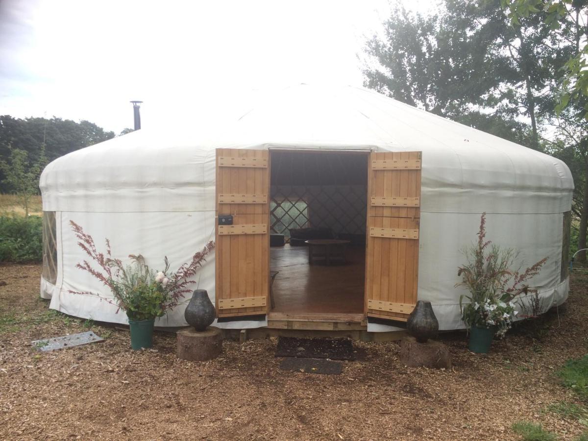 Plush Tents Yurt Village Chichester Extérieur photo