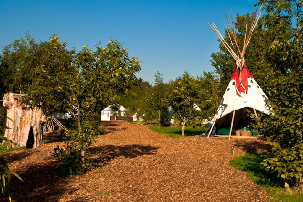 Plush Tents Yurt Village Chichester Extérieur photo