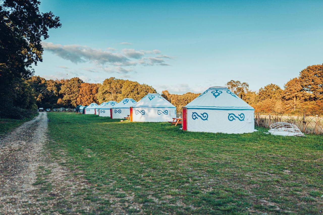 Plush Tents Yurt Village Chichester Extérieur photo